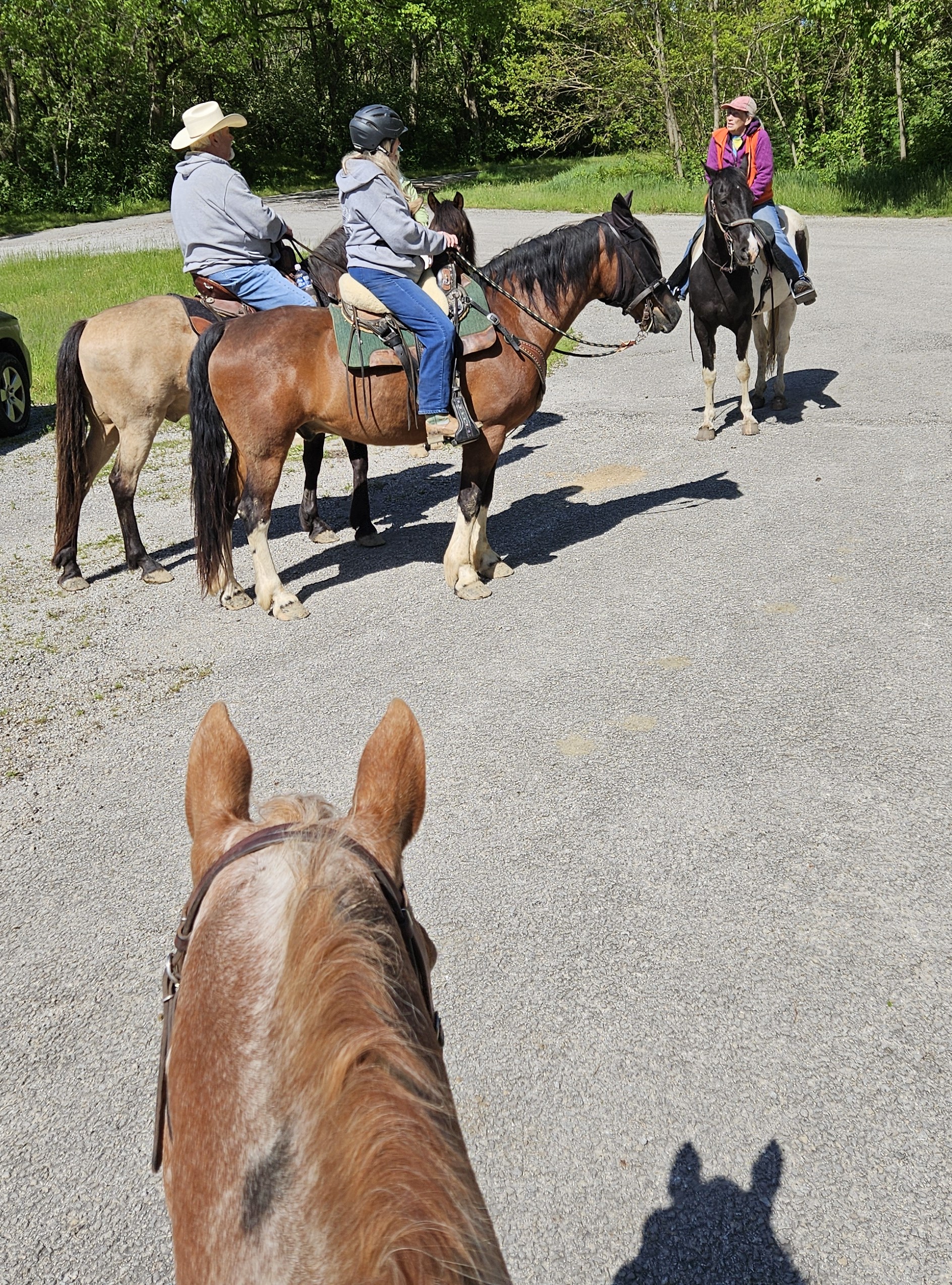 Greene County Chapter Ohio Horseman’s Council